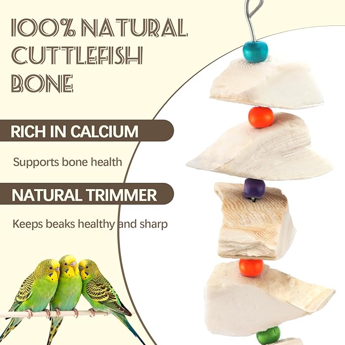 2 Pack Bird Cuttlebone Chew Toys, Natural Cuttlefish Bone for Birds Beak Grinding & Calcium Supplement, Hanging Cage Accessories for Small Medium Birds (2, Chunky Blocks)