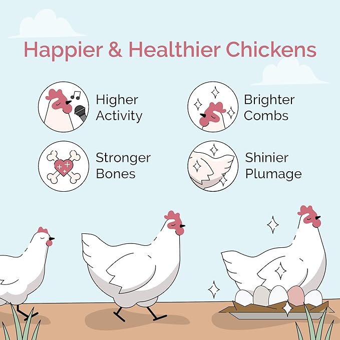 Mile Four Chicken Grit (50 lbs) for Layer & Grower Chickens Age 8-20+ Weeks - 100% Natural Mineral Chicken Grit Quartzite, Poultry Grit, USA Mined