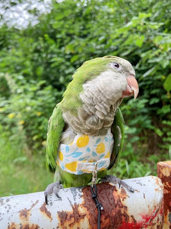 Bird Flight Harness Vest, Parrot Flight Suit with Leash for Parakeets Cockatiels, Bird Flying Clothes with Rope and Handle for Outdoor Activities Training (Yellow Without Leash,Small)