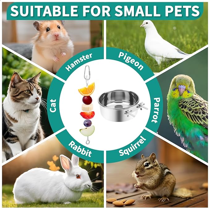 2 Pcs Bird Feeder Bowls with 2 Pcs Food Holder for Cage, Parrot Food Water Bowls and Fruit Skewer Foraging Toy, Stainless Steel Bird Feeding Dish Cups for Small Animals (Silvery, 4 Pcs)