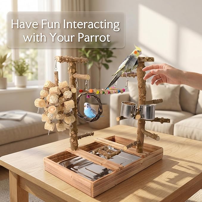 Natural Wood Bird Perch Stand, Multi-Layer Parrot Playground Gym with Feeding Cups and Toys, Real Branch Activity Center for Cockatiels, Parakeets, Conures, Budgies, Tabletop and Cage Top Use