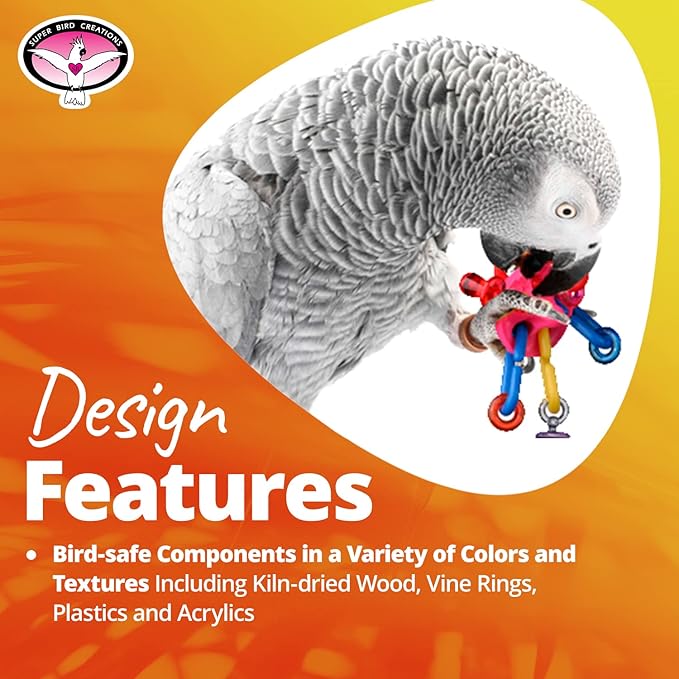Super Bird Creations SB50013 Favorite Bird Foot Toys Assortment - Engaging Variety Pack for Medium to Large Birds - Ringnecks Quakers Parros - Stimulating Foot Exercise & Satisfies Foraging Behavior