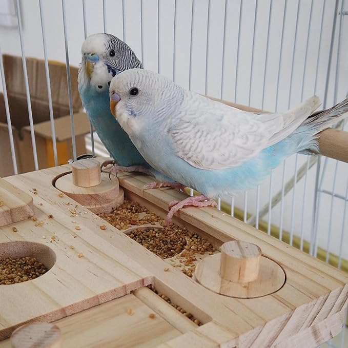 FlidRunest Wooden Bird Foraging Puzzle Toys for Parrots, Parakeet, Cockatiel, Sun Conures - Birds Interactive Mental Enrichment Toy, B ird Seed Slow Feeder Toy for Cage