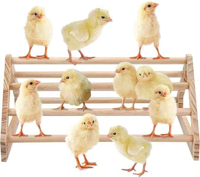 Wooden Chick Perch Stand, Pine Chicks Roosting Bar, Jungle Gym Perch Toys for Chicken Coop & Brooder, Bird Perch for Baby Chicks & Parrots (Large)