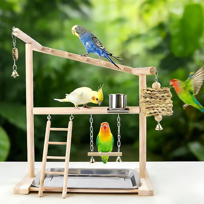 Small Bird Playground Stand, Natural Wood Parrot Stand Playground with Removable Tray, Feeder Cups, Ladder, Swing & Chew Toys for Cockatiel, Conure, Parakeet