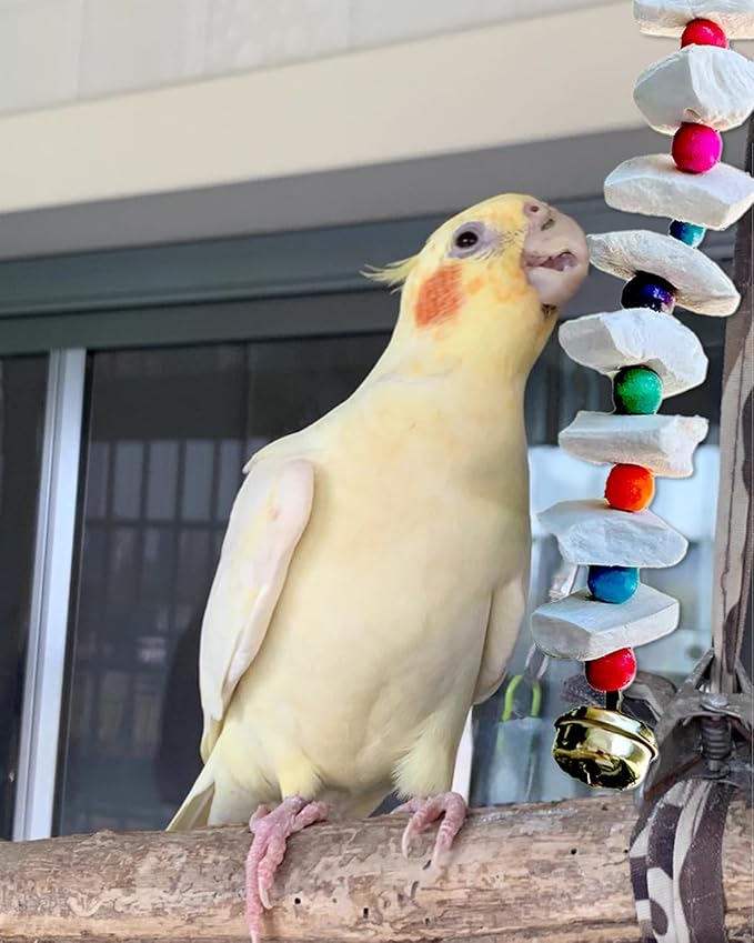 2 Pack Bird Toys with Millet Cuttlebone, Parakeet Toys, Bird Beak Grinding Tool, Cage Accessories for Parakeets, Cuttlefish Bone for Budgies, Cockatiels, Lovebirds, Green Cheeks, Small to Medium Birds