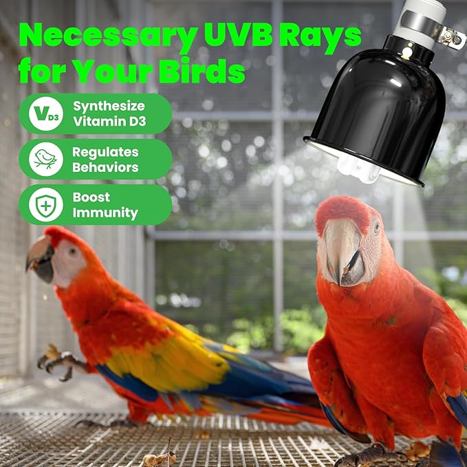 GlowUp Bird Cage Light Fixture Combo Kit, Deep Dome Lampshade with 2.4% UVB Bulb 20W, Bird Light for Captive Birds, Reptiles