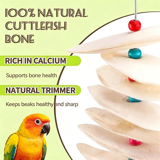 2 Pack Bird Cuttlebone Chew Toys, Natural Cuttlefish Bone for Birds Beak Grinding & Calcium Supplement, Hanging Cage Accessories for Small Medium Birds (2, Thin Slices)