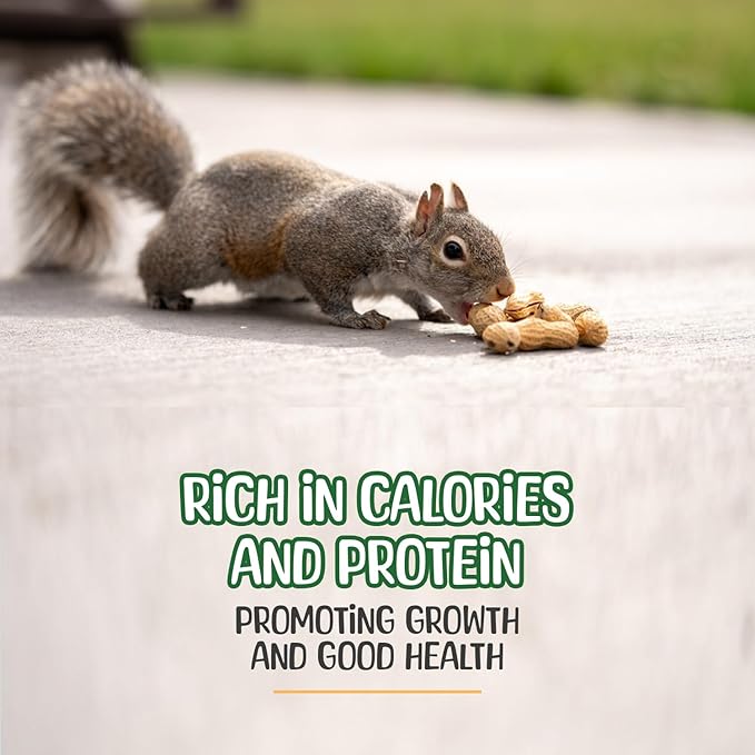 Sneaky Mango Raw Peanuts in Shell - 8 Pounds – All-Natural Food for Squirrels, Deer, Birds, and Other Wildlife Animals – Grown in the USA for Healthy Nutrition
