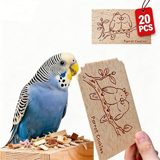 Natural Balsa Wood Bird Chew Toys,20 Pack Soft Wooden Slices with Cute Prints, Safe Shredding & Foraging Toys for Budgies, Parakeets, Lovebirds, Cockatiels and Small Birds