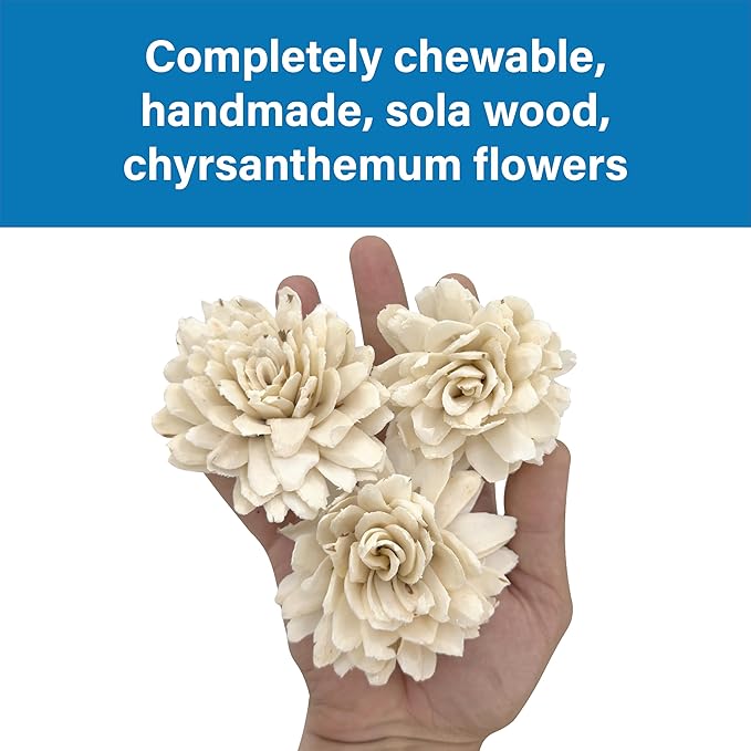 5177 Pk3 Medium Sola Chrysanthemum - Handmade beautiful soft sola wood flowers, Delicate chewable petals, Lightweight, Stuff treats inside, Great for Cockatiels Conures Budgies Parrotlets and more