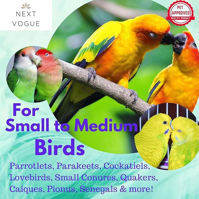 Natural Wood Parrot Toys Set of 6 Pieces for Small to Medium Parrots, Safe and Durable Bird Chew Toys, Fun and Colorful Hanging Accessories for Cage, Non-Toxic and Eco-Friendly Avian Toys