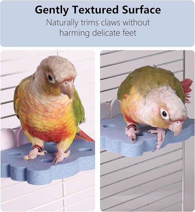 Bird Perch Stand for Parrots – Natural Ceramic Grinding Stick for Beak, A Safe, Non-Shedding Chewing and Claw-Trimming Perch for Parrots (Blue, Medium Size)