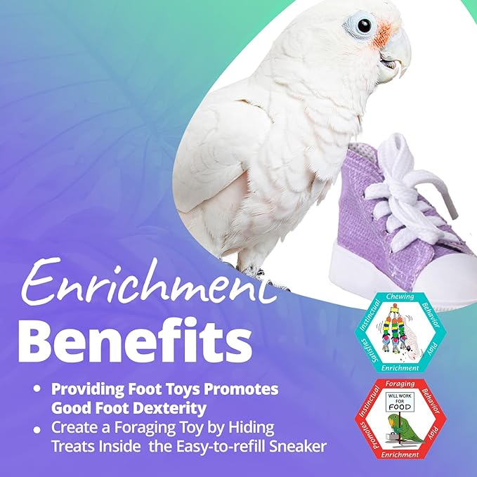 Super Bird Creations SB50010 Sneaker Bird Toy - Durable Safe Chew Toy - Ideal for Cockatiels Parakeets Parrots Small to Large Birds - Vibrant, Assorted Colors 3" x1-1/2 x 1-3/8" (12 Pack)