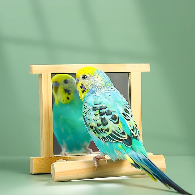 Natural Wood Bird Stand with Mirror, Perch and Swing Toy for Parakeets, Hummingbird, Lovebirds and Cockatoos (1 Pack)