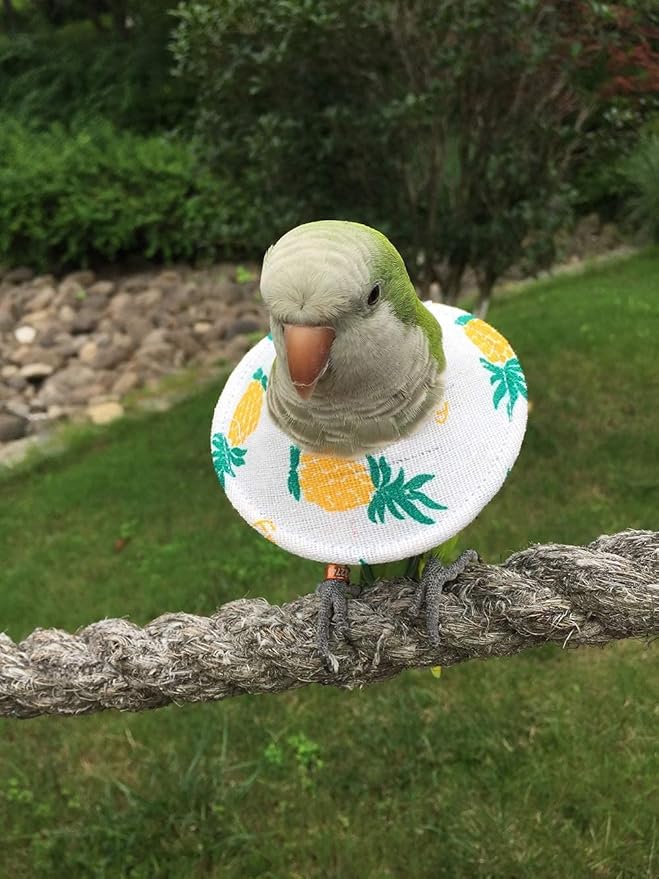 Bird Collars,Adjustable Recovery Collar Parrot Elizabeth Collar for Feather Plucking Feather Protector Shield with Soft Padded Cotton Neck Cone Anti-bite Anti-Licking Wound Healing (4XL,Pineapple)