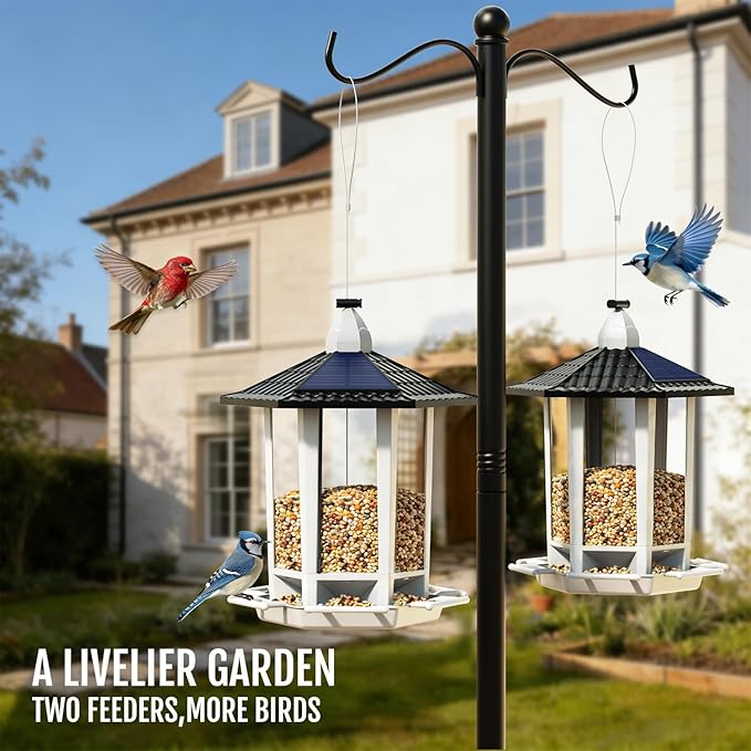 Birdream Solar Bird Feeders for Outdoors Hanging, Assembly Required, 1-Min Easy Setup, Wild Seed Feeders for Cardinals Chickadees and Finches