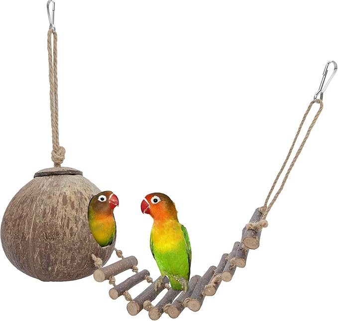 Niteangel Natural Coconut Hamster Hideaway with Ladder, Bird and Small Animal Toy (House with Ladder, Smooth Surface)