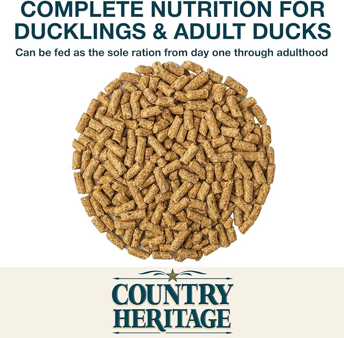 Country Heritage Duck Feed – Pellets for All Life Stages (19% Protein with Prebiotics & Probiotics, Do Not Float) (5 Pounds)