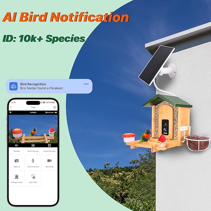 Smart Bird Feeder with Camera Solar Powered, 4K UHD Video Live Stream 8MP Photos, AI Bird Species Identification, Instant Arrival Alerts, Weatherproof Bamboo Design, Best Gift for Bird Lovers