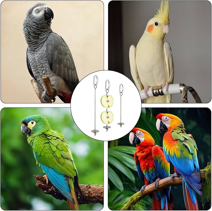4 PCS Bird Cage Food Holders Stainless Steel Stick Feeder Parrot Fruit Vegetable Skewer Hanging Small Animal Hanging Foraging Accessories for Bird Parakeet Cockatoo Cockatiel