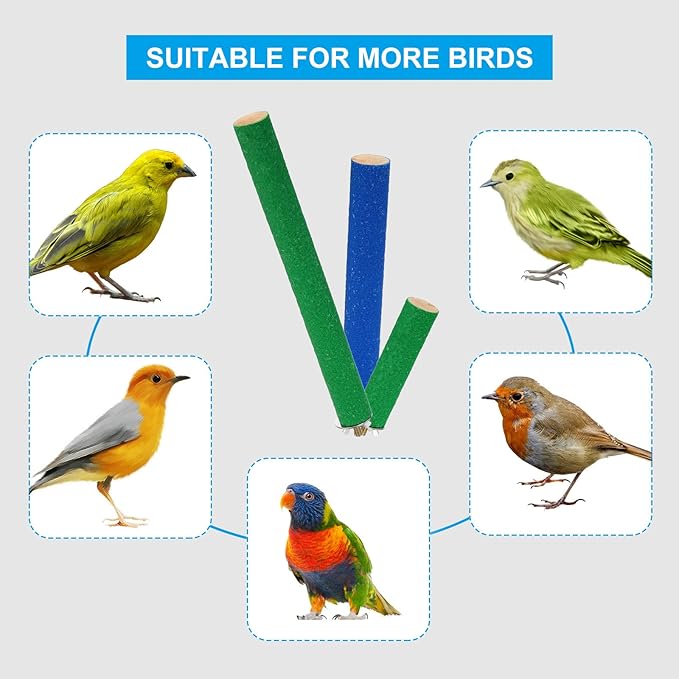 PATIKIL 1x4 Bird Paw Grinding Stick, Bird Wood Perch Stand Cage Accessory for Small Bird Parrot Lovebird Parakeet Cockatiel, Blue