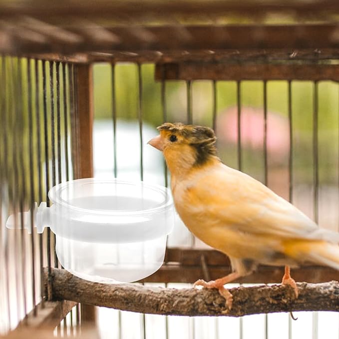 Kisangel Parrot Feeder Dish Cup Detachable Transparent Bowls Plastic Bird Food Bowl for Hanging Parrot Water Feeder