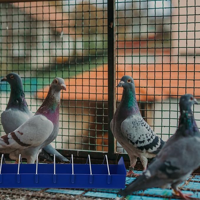 BESPORTBLE Thickened Plastic Food Tank for Birds Versatile Feeding Trough with Multiple Slots for Pigeons Parrots and Small Birds - Easy to and Maintain (15.24X4.13X3.15 Inch)