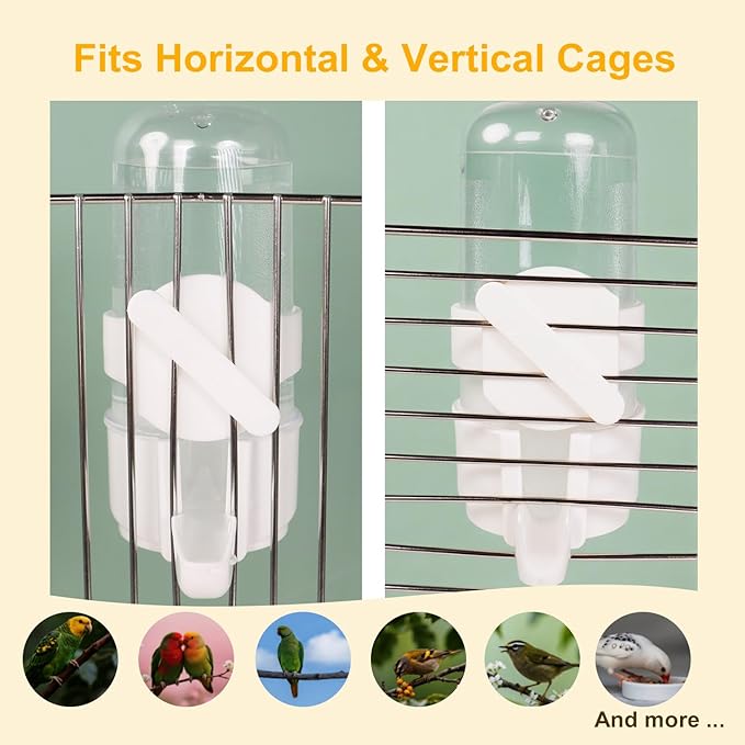 No Mess Bird Feeder with Veggie Skewer and Water Bottle Set, 15oz Feeder with Seed Hull Catcher + 4.7oz Leak-Proof Dispenser, Cage Accessories for Cockatiels, Conures, Parakeets, Lovebirds (Green)