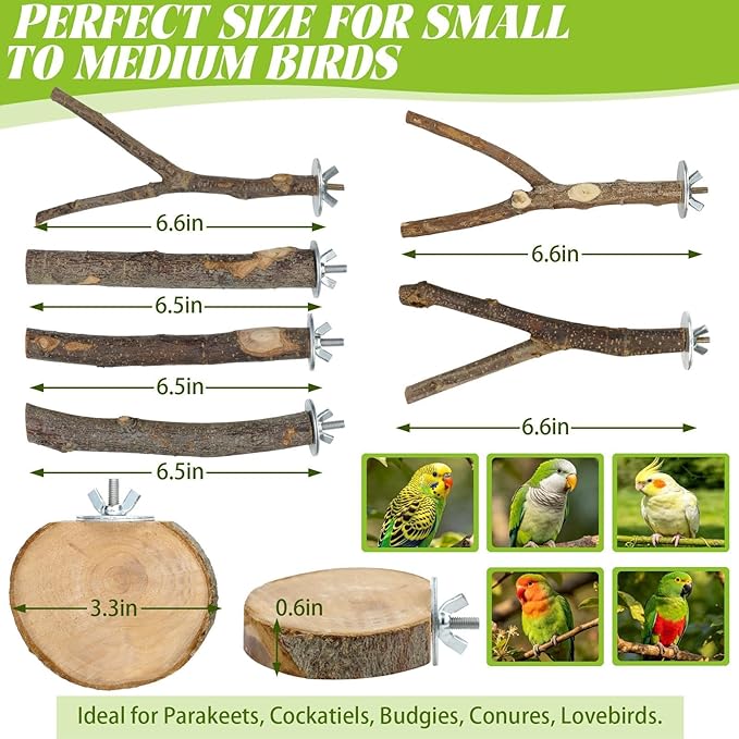 8 PCS Bird Perch Set for Cage - Natural Apple Wood Platforms & Hardwood Branches for Parakeets, Budgies, Cockatiels - Small Bird Habitat Gym, Climbing Stand & Safe Chew Toys