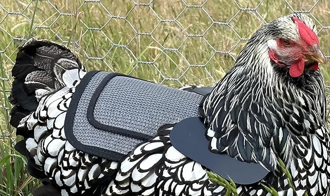 DOWN UNDER OUTDOORS Chicken Saddle with Adjustable Straps for Medium and Large Hens, Chicken Apron, Poultry Saver, Pet Supplies, Including Shoulder Cover (Grey Mesh)