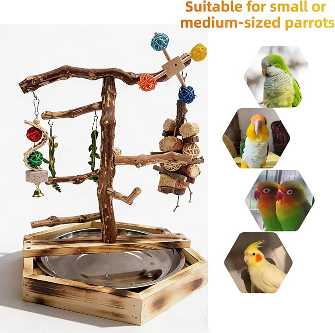 Wooden Bird Play Stand for Parakeets & Cockatiels, Natural Wood Perch Gym with Hanging Toys, Removable Metal Tray, Multi-Level Bird Playground for Small to Medium Birds