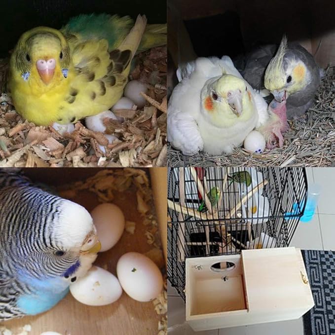 Pine Wood Parakeet Nest Box Bird House Budgie Breeding Mating Box for Lovebirds Cockatiel Parrotlets (M)