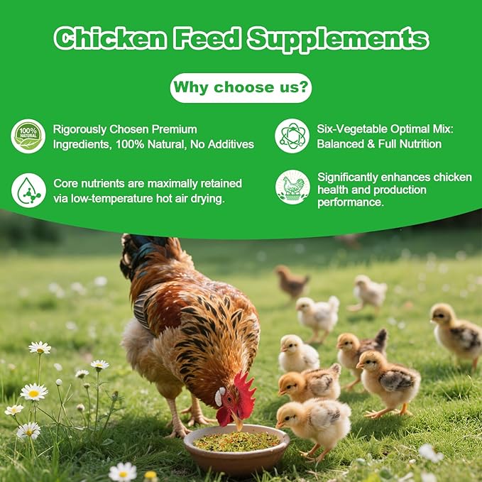 7oz Chicken Food Supplement for Laying Hens - Air-Dried Treats with Vitamins & Probiotics Molting Feed Season Support, Egg Boost & Feather Regrowth