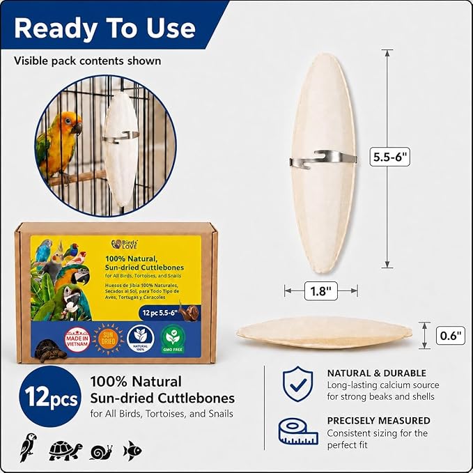 Birds LOVE 3.5-4″ Cuttlebone for Birds – 100% Natural Sun-Dried Calcium Carbonate Mineral Supplement – for Parakeets, Budgies, Cockatiels, Finches & Canaries – 12 Pack with Holder – Made in Vietnam