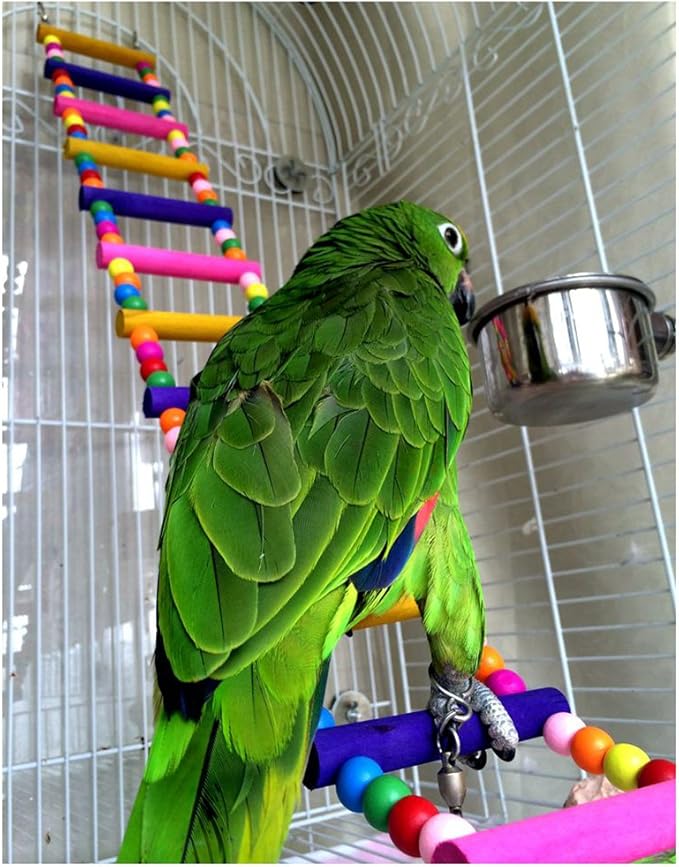 Wooden 80cm Parrot Ladder Bridge Pet Bird Toys with Hooks