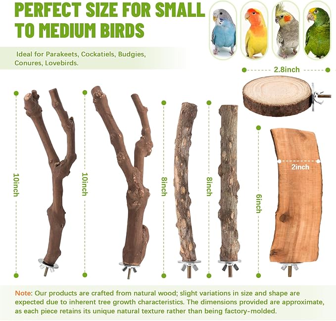 6-Piece Natural Wood Bird Perch Set - Forked Grapevine Branches, Prickly Ash Sticks & Apple Wood Platforms - Habitat Standing Accessories for Parakeets, Cockatiels, Conures, Budgies