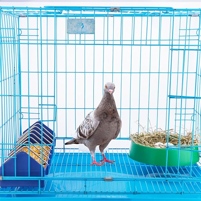 DQITJ 10 Pack Plastic Small Bird Nests Pigeon Nesting Bowls Quails Breeding Hatching Nest Canary Nest for Home Farm