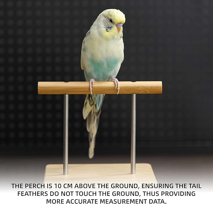 NEOUZA Perch-Mounted Pet Bird Scale, Parrot Weight Scale with Perch, Weight Change Monitoring, Suitable for Parrot, Canaries, Budgerigars, Cockatiels, Society Finches