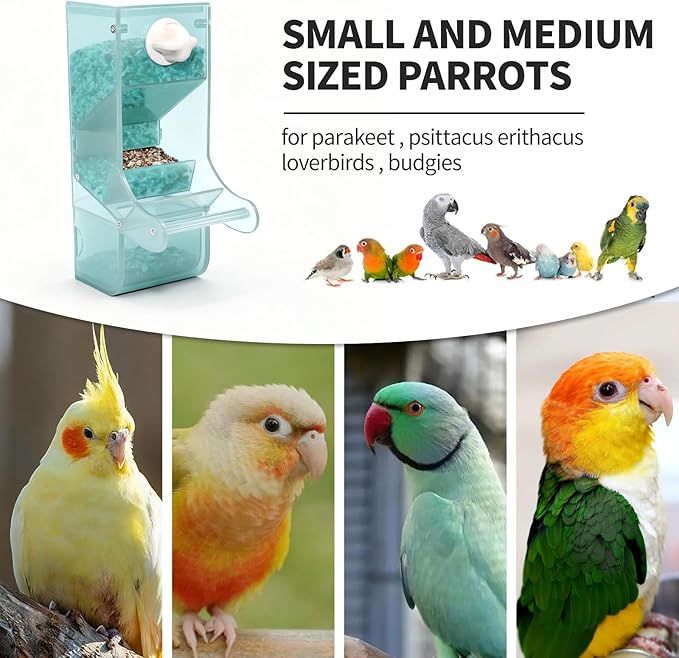 AOTU Automatic Bird Feeder for Cage Crack-Resistant Plastic Parakeet Cage Accessories No Mess Bird Cage Seed Catcher for Small Medium Birds Parrots Cockatiels Parakeets Conures Canaries (Light Green)