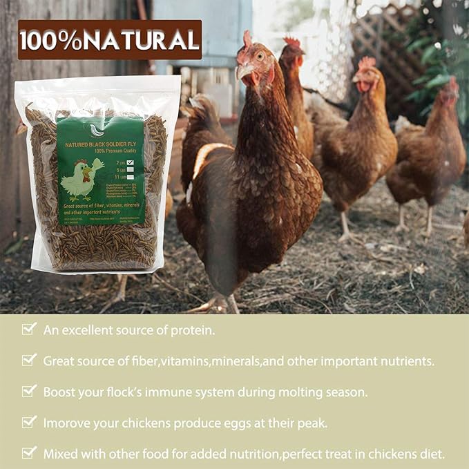 Black Soldier Fly Larvaeis,5LB 100% Natural Large Size No Moisture,Mealworms for Birds Chickens Hedgehog Hamster Fish Reptile Turtles