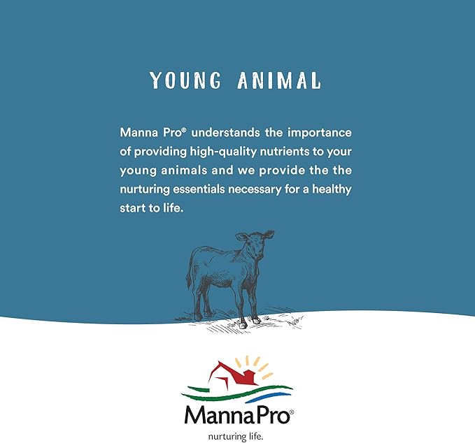 Manna Pro Hen Healer Multi-Purpose Ointment | Helps Support Healing | 2 Ounces
