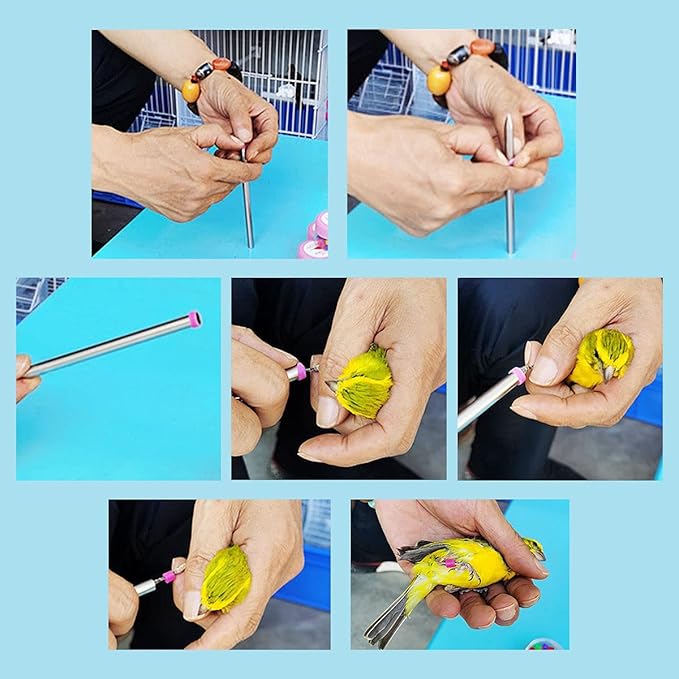 FOIBURELY 100 pcs Numbered Bird Ring Leg Bands for Gouldian Zebra Finch Canary Society Bird Foot Ring with 1 Installer(Diameter 3mm)