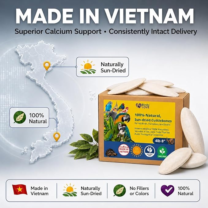 Birds LOVE 7.5-8" Cuttlebones for Birds – 100% Natural Sun-Dried Calcium & Beak Conditioning Supplement for Parakeets, Budgies, Cockatiels, Finches & Canaries – 4 lb with Holder – Made in Vietnam