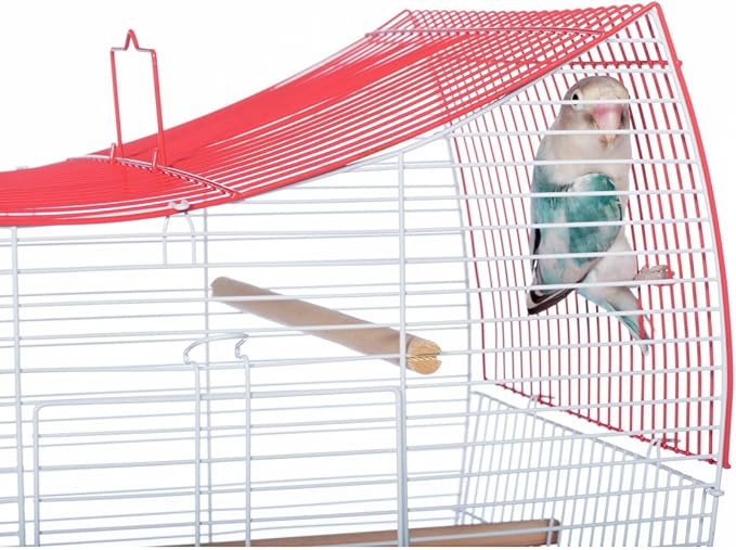 Prevue Pet Products South Beach Wave Top Bird Cage - Ideal for Finches, Canaries, Budgies, and Similarly Sized Birds, Minimal Assembly, Made of Powder-Coated Steel Wire Mesh - Green