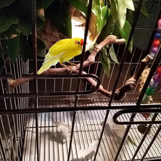PINVNBY Bird Perches for Cage,3Pcs Parrot Perches Natural Grape Wood Birdcage Stands Pole 4Pcs Birds Toys Ball for Parakeet Lovebirds Budgies Cockatiels Finches
