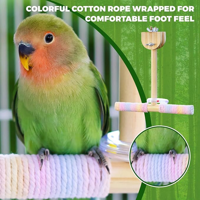 Bird Stand Perch Toy,Interactive Rocking Parakeet Toy and Perch, Wooden Exercise Wheel Cockatiel Toy, Intelligence Puzzle Enrichment Toys,Bird Playground Play Stands for Conure Budgie(swing)