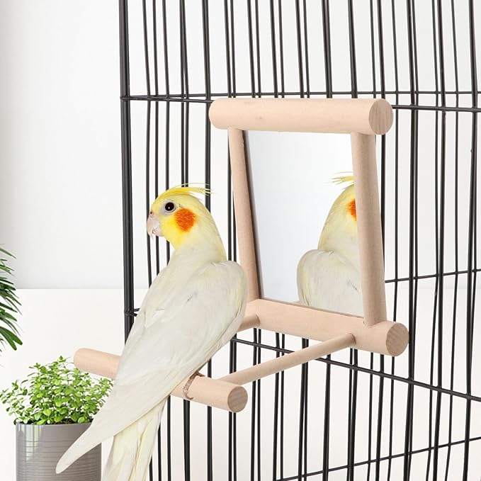 Wontee Bird Bath Parrot Bathing Tub Bird Mirror with Perch Toys for Budgies Parakeets Cockatiels Lovebirds Finches Canaries