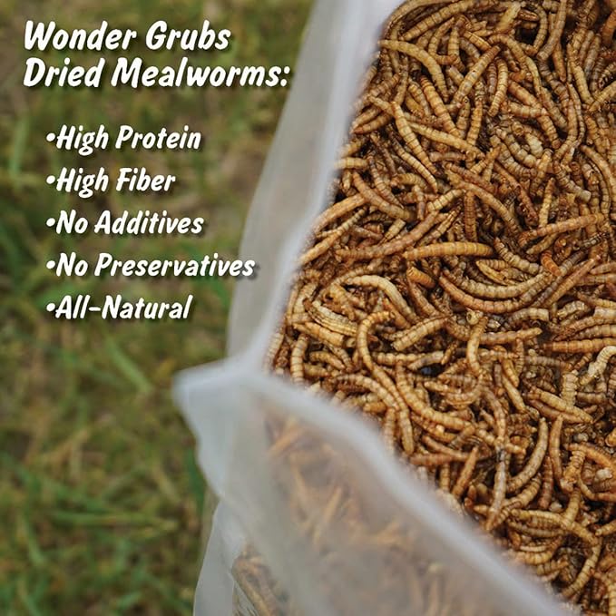 Mann Lake Wonder Grubs 5 lb 100% Non-GMO Dried High-Protein Mealworms for Chicken, Wild Bird, Duck, Fish, Reptiles, Tortoise, Amphibians, Lizard