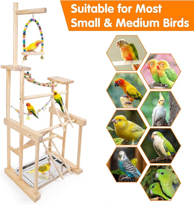 Bird Playground 4 Tier, Parrot Perch Stand Bird Play Stand with Feeder Cups, Ladder, Chain Toy, Swing and Detachable Tray, Parrot Playground for Parakeet Conure Cockatiel Lovebird Budgie